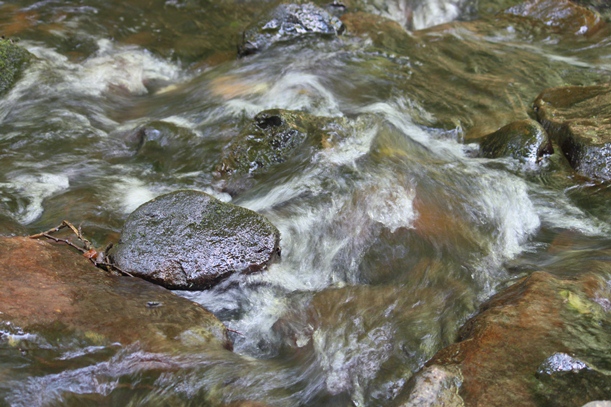 a0109914_1102229.jpg