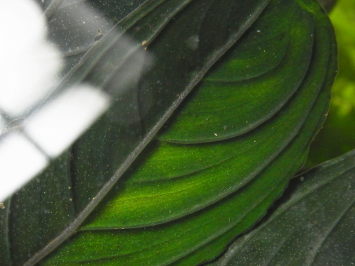 e0206818_23102715.jpg
