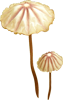b0206521_2255457.png