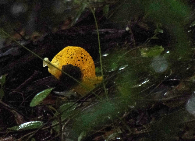 c0180824_81432.jpg