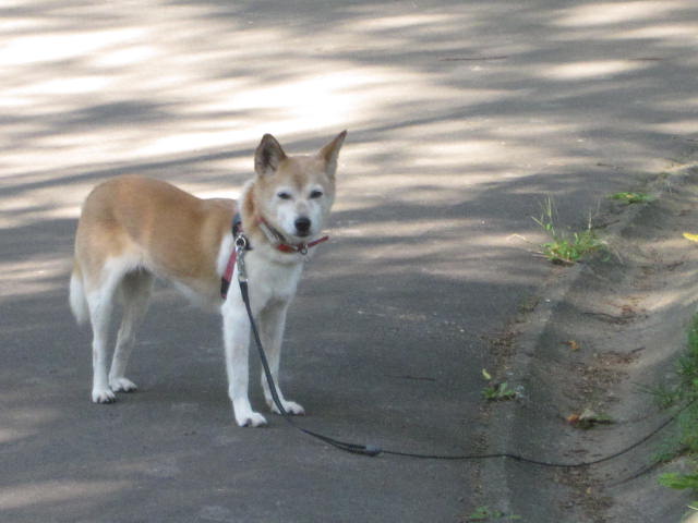 e0191826_23305350.jpg