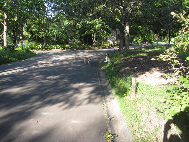 e0191826_2381052.jpg