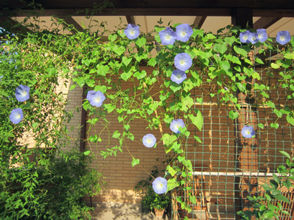 f0234936_60251.jpg
