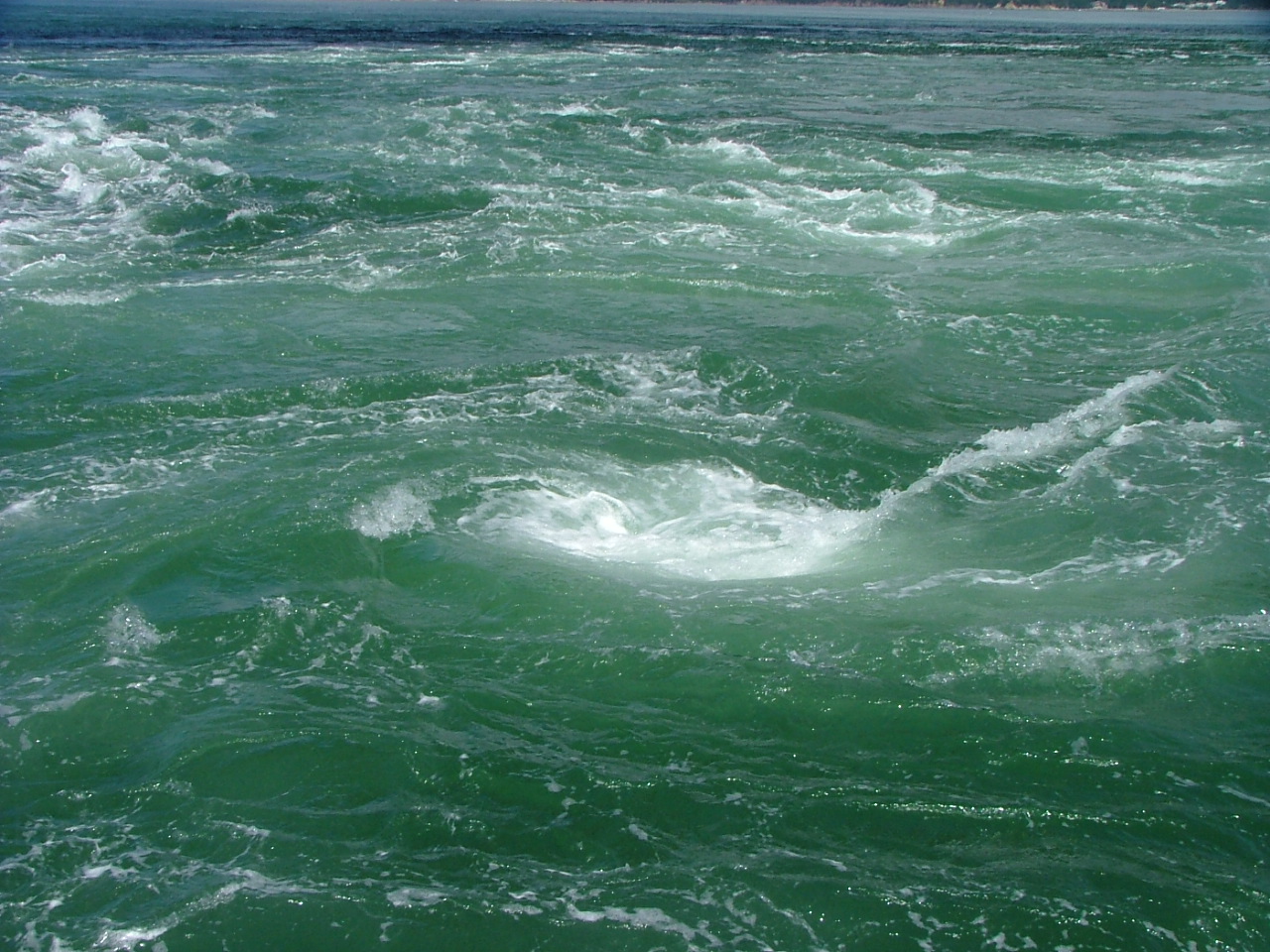 a0155838_20301482.jpg