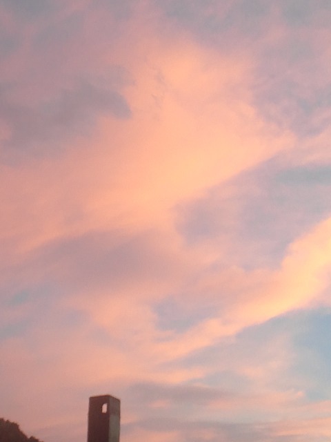 c0117239_734231.jpg