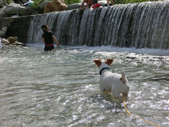 c0156345_1243572.jpg