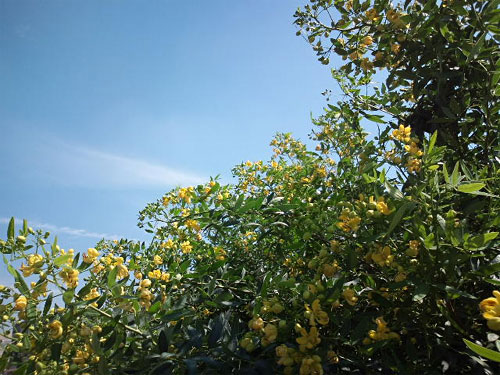 e0034047_18343261.jpg