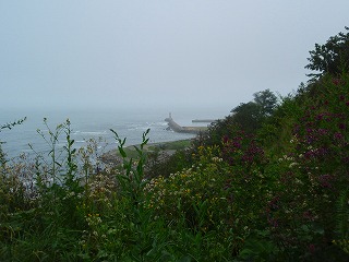 e0004756_21345333.jpg