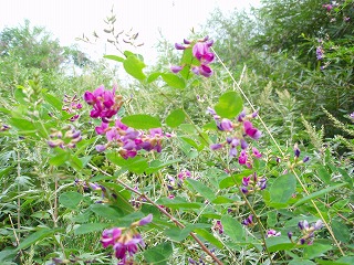 e0004756_21403626.jpg