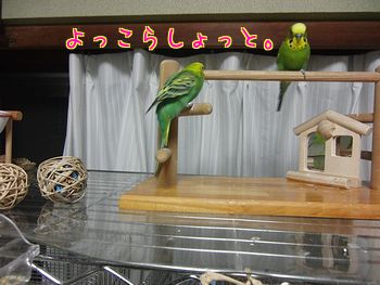 f0196665_9404960.jpg