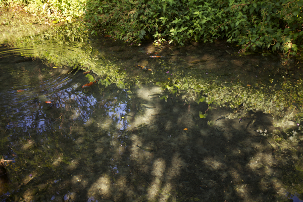 c0163369_11475261.jpg