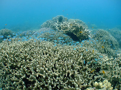 b0033573_14262518.jpg