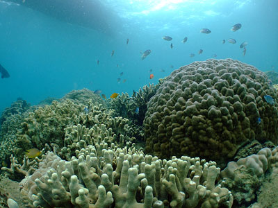 b0033573_14263315.jpg