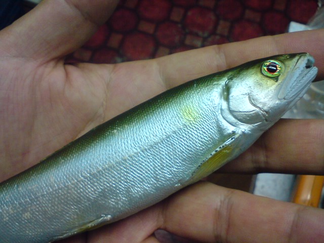 a0040876_23403110.jpg
