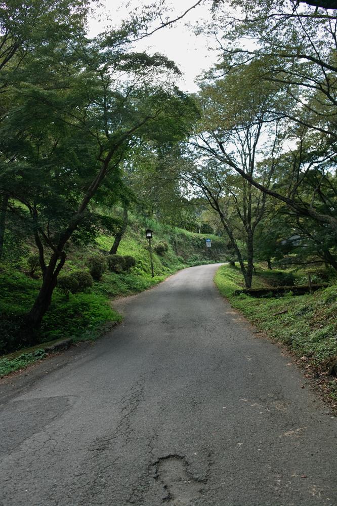c0177576_22914.jpg