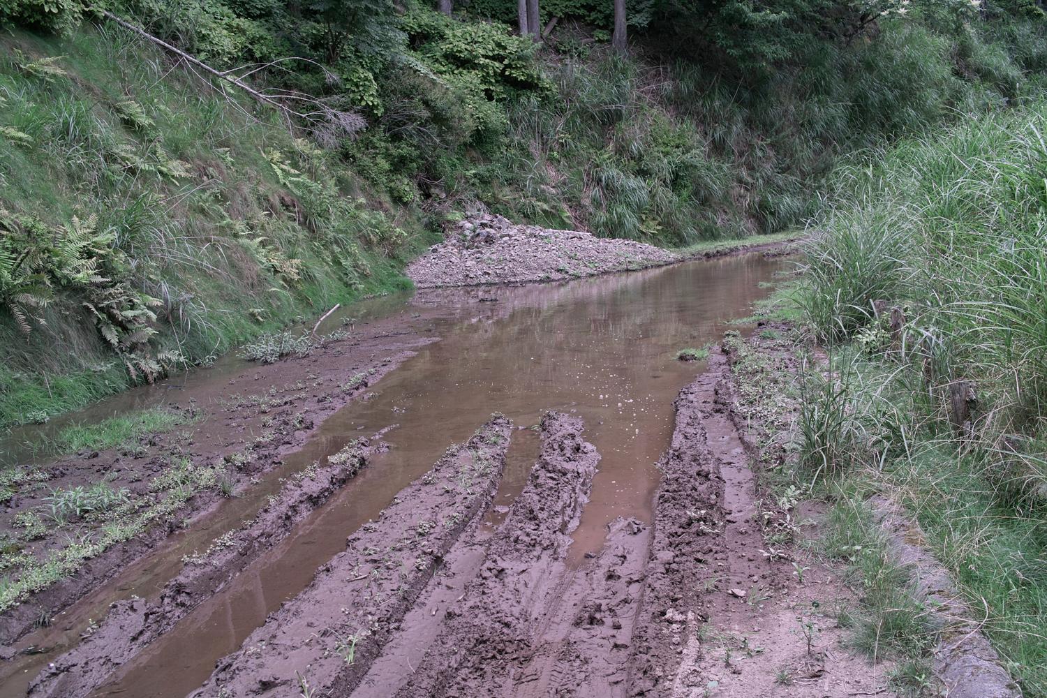c0177576_37254.jpg