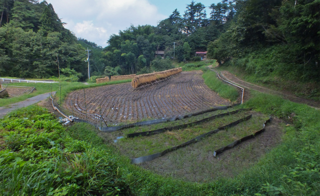 d0245378_1652484.jpg
