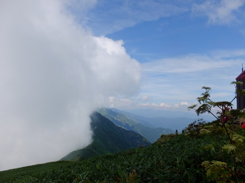 a0043982_4582973.jpg