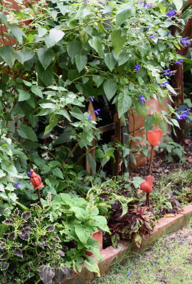 e0154682_23324065.jpg