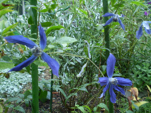 a0135990_2257124.jpg