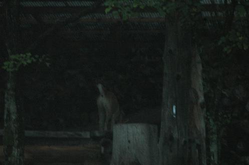 c0123890_1540327.jpg