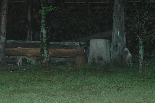 c0123890_15455331.jpg