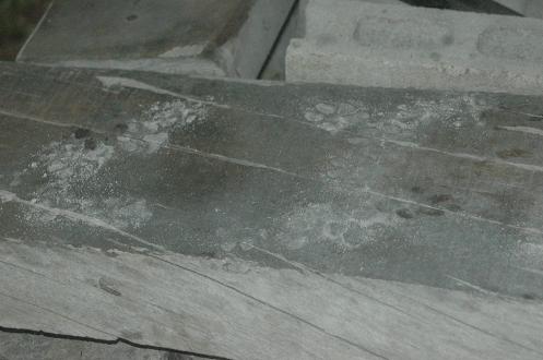 c0123890_1546349.jpg