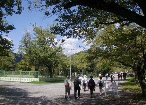 d0053294_2083252.jpg