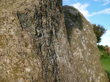 b0110999_18124162.jpg