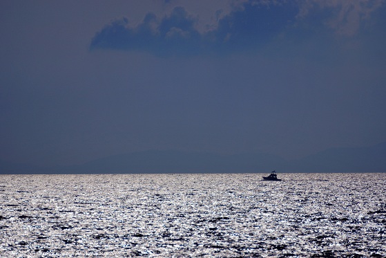 e0137705_15472974.jpg
