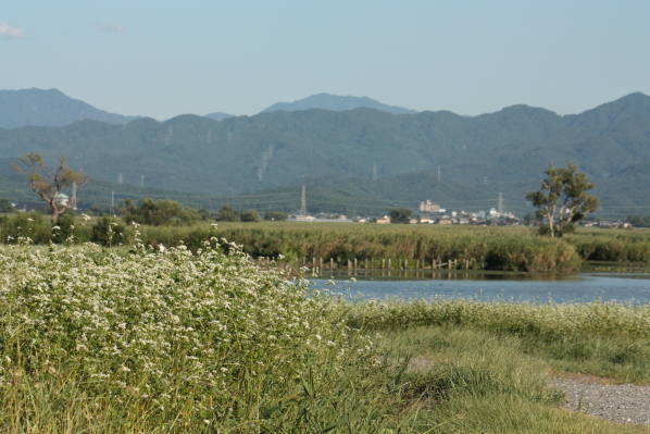 d0001008_5513470.jpg