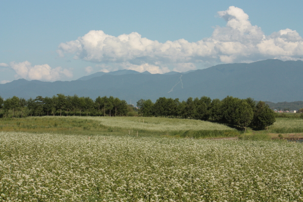 d0001008_552164.jpg