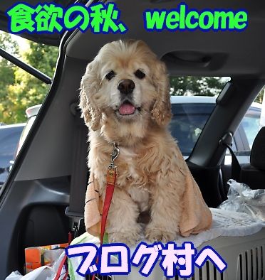 にほんブログ村 犬ブログ アメリカンコッカースパニエルへ