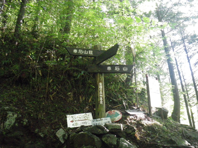 d0006512_16173156.jpg