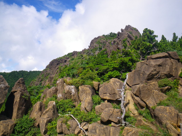d0006512_16214862.jpg