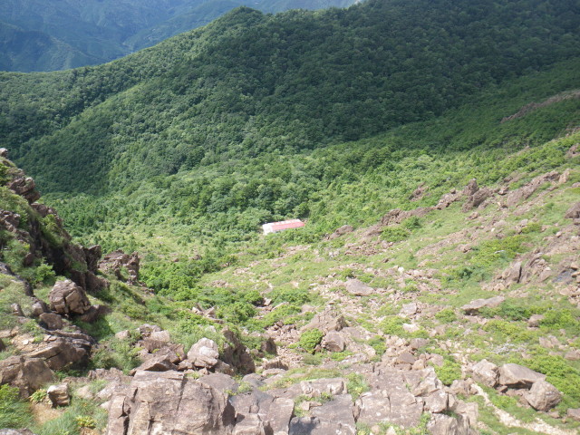 d0006512_1624862.jpg