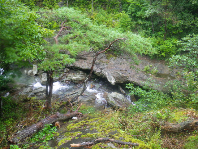 d0006512_16305834.jpg