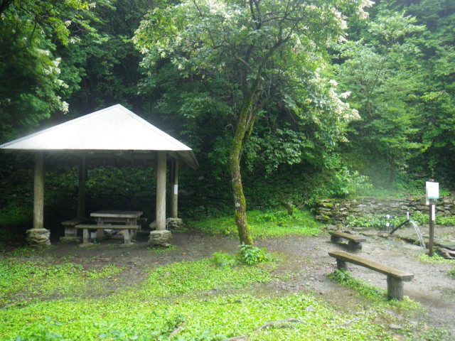 d0006512_16321693.jpg