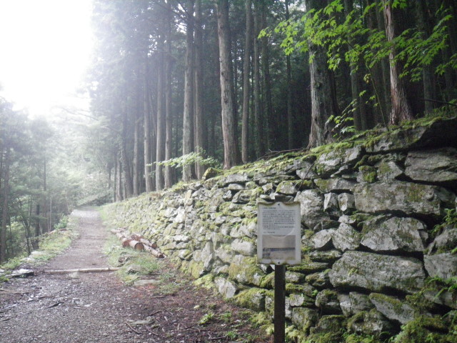 d0006512_1633296.jpg