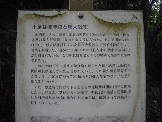 d0006512_16335326.jpg
