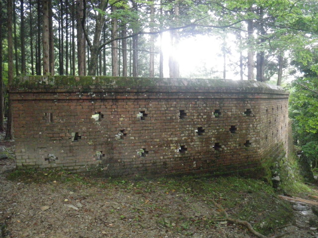 d0006512_16341460.jpg