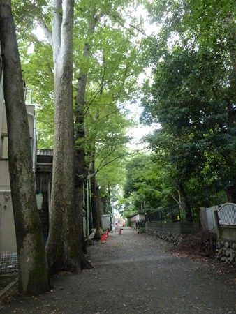 d0113613_1675688.jpg