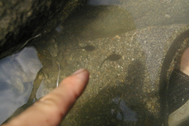 c0223419_1842464.jpg