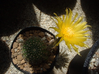 e0256122_18465892.jpg