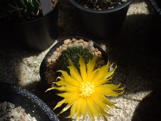 e0256122_18554132.jpg