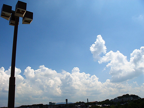 b0068423_1684486.jpg