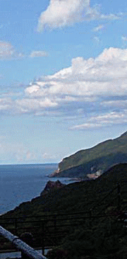 f0227323_171955.gif