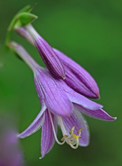 c0104227_23334555.jpg