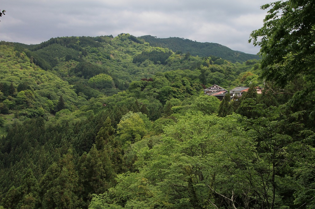 b0162728_2033110.jpg