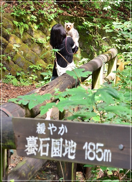 d0179828_11473171.jpg